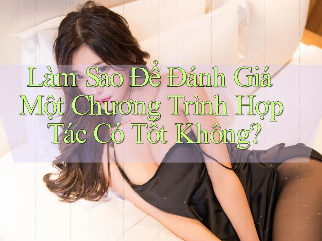 Làm Sao Để Đánh Giá Một Chương Trình Hợp Tác Có Tốt Không? Làm Sao Để Đánh Giá Một Chương Trình Hợp Tác Có Tốt Không?