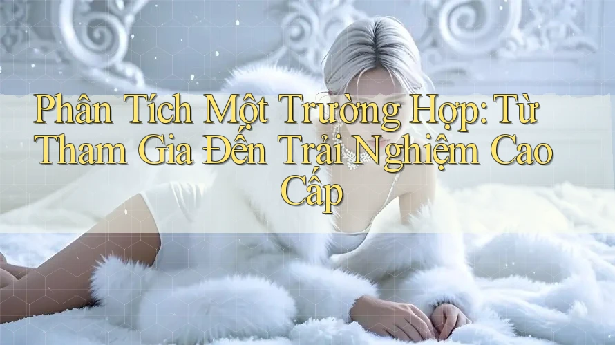 Phân Tích Một Trường Hợp: Từ Tham Gia Đến Trải Nghiệm Cao Cấp